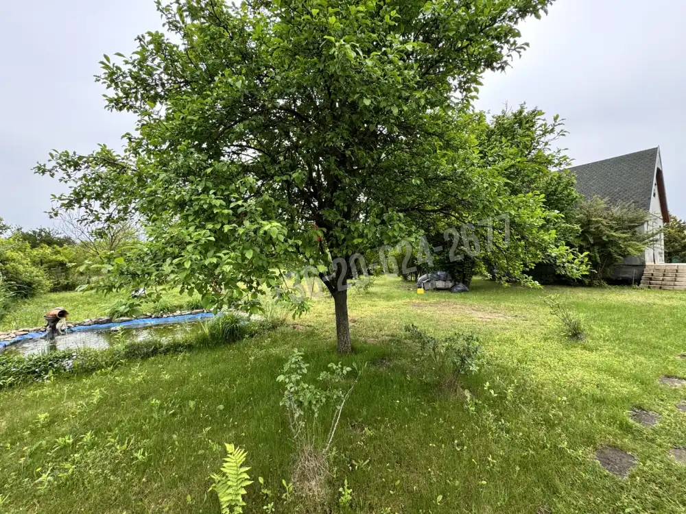 Pest megye - Vác