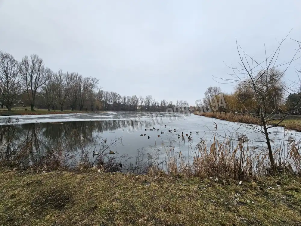 Pest megye - Veresegyház