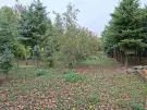 Vas megye - Zsennye