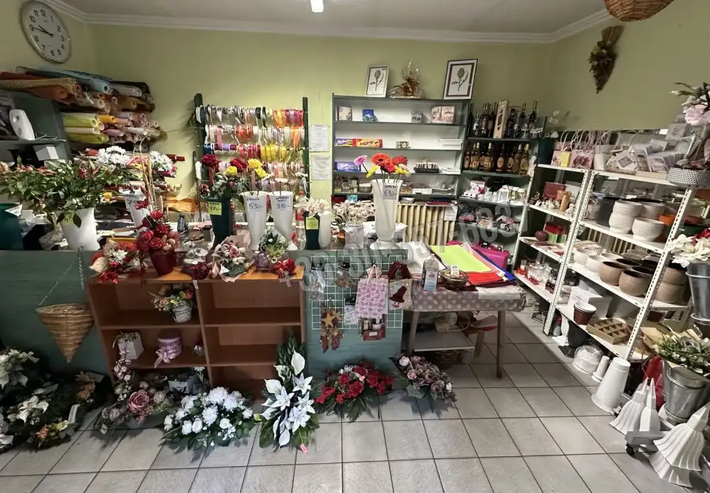 Csongrád megye - Zsombó