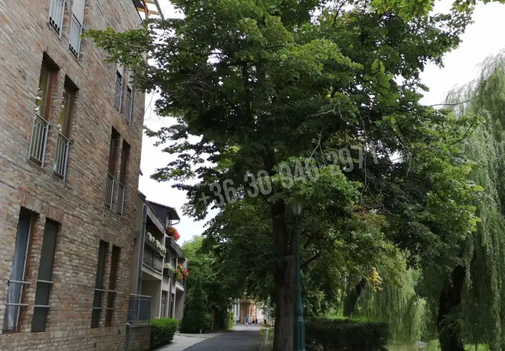 Békés megye - Gyula