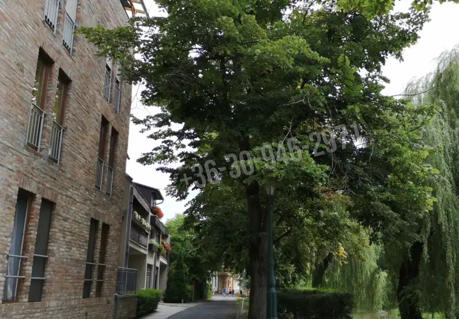 eladó garázs, Gyula