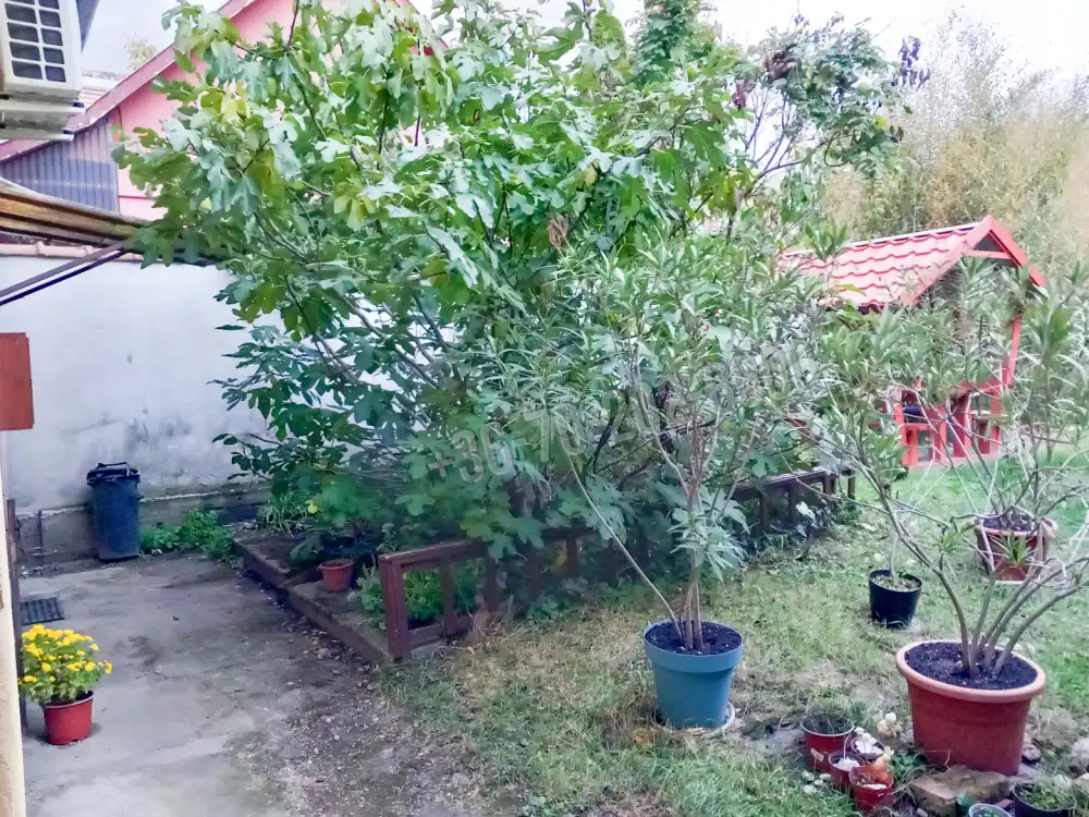 Budapest, XV. kerület - Pestújhely