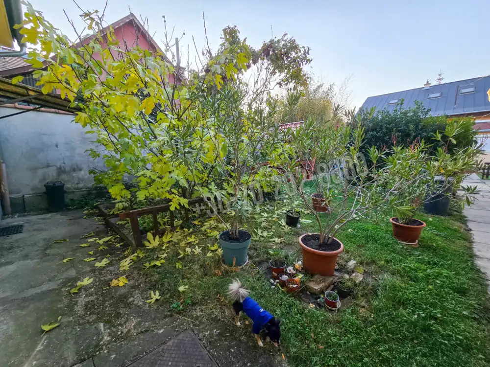 Budapest, XV. kerület - Pestújhely