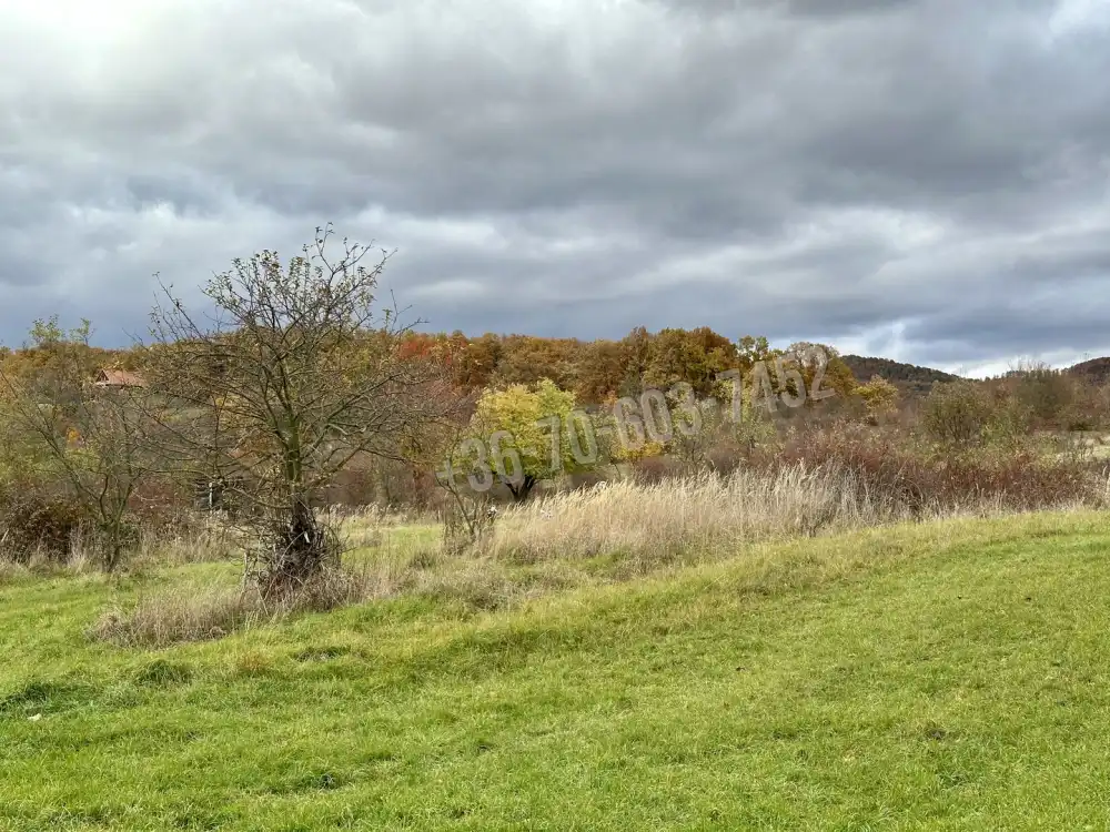 Pest megye - Kóspallag