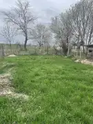Békés megye - Békéscsaba