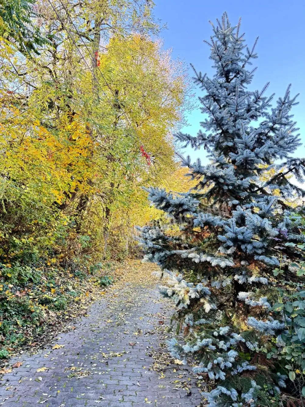 Budapest, II. kerület - Hűvösvölgy