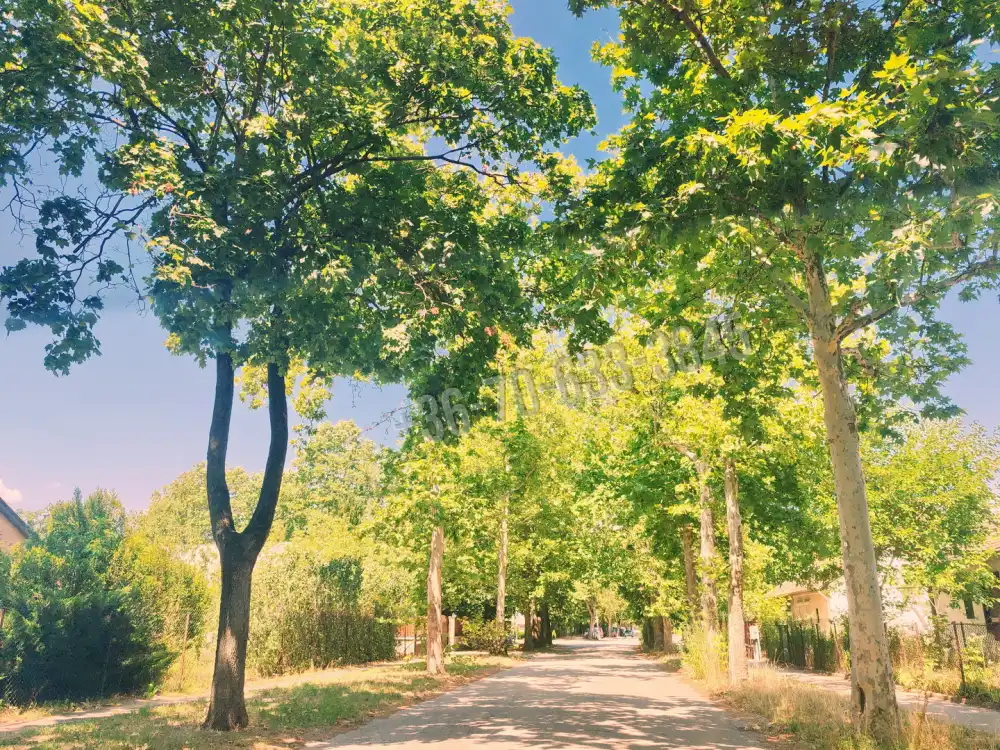 Budapest, XXI. kerület - Csillagtelep