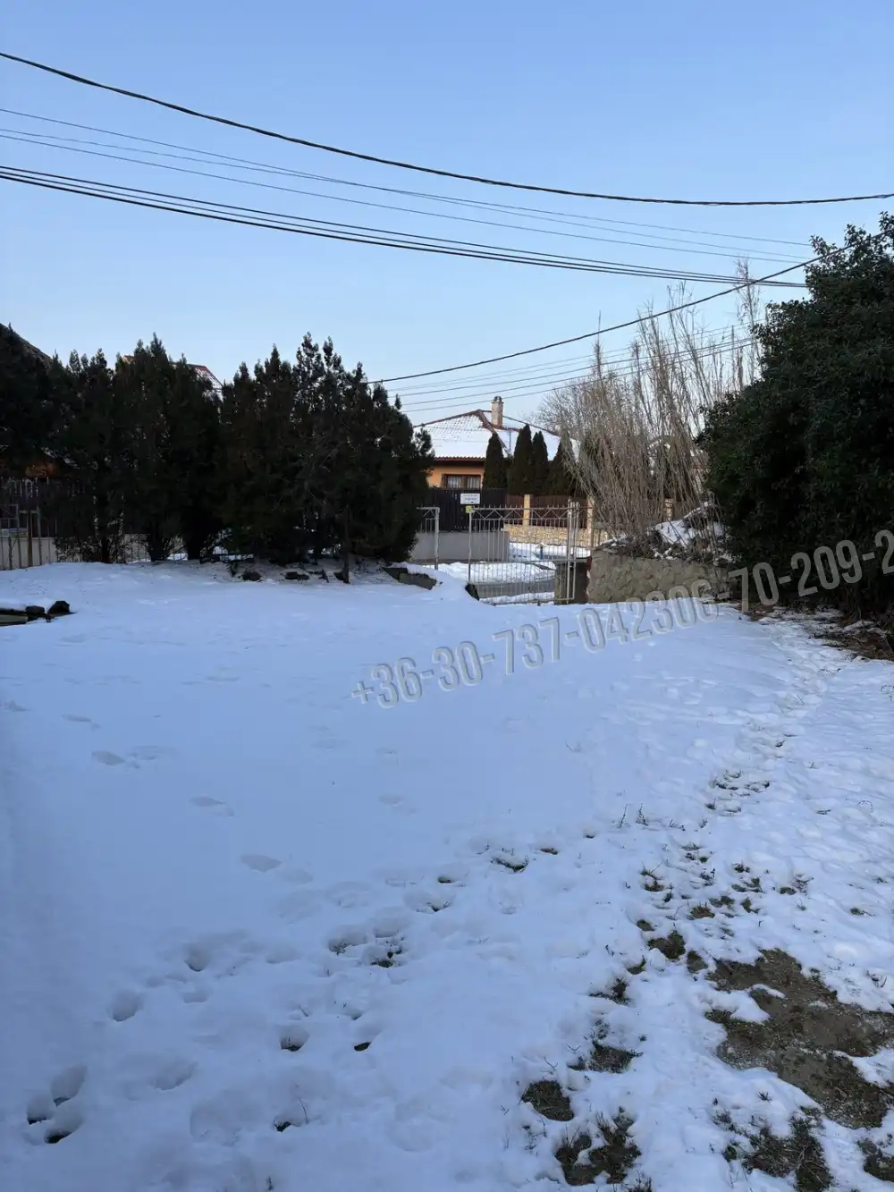 Budapest, XXI. kerület - Királyerdő