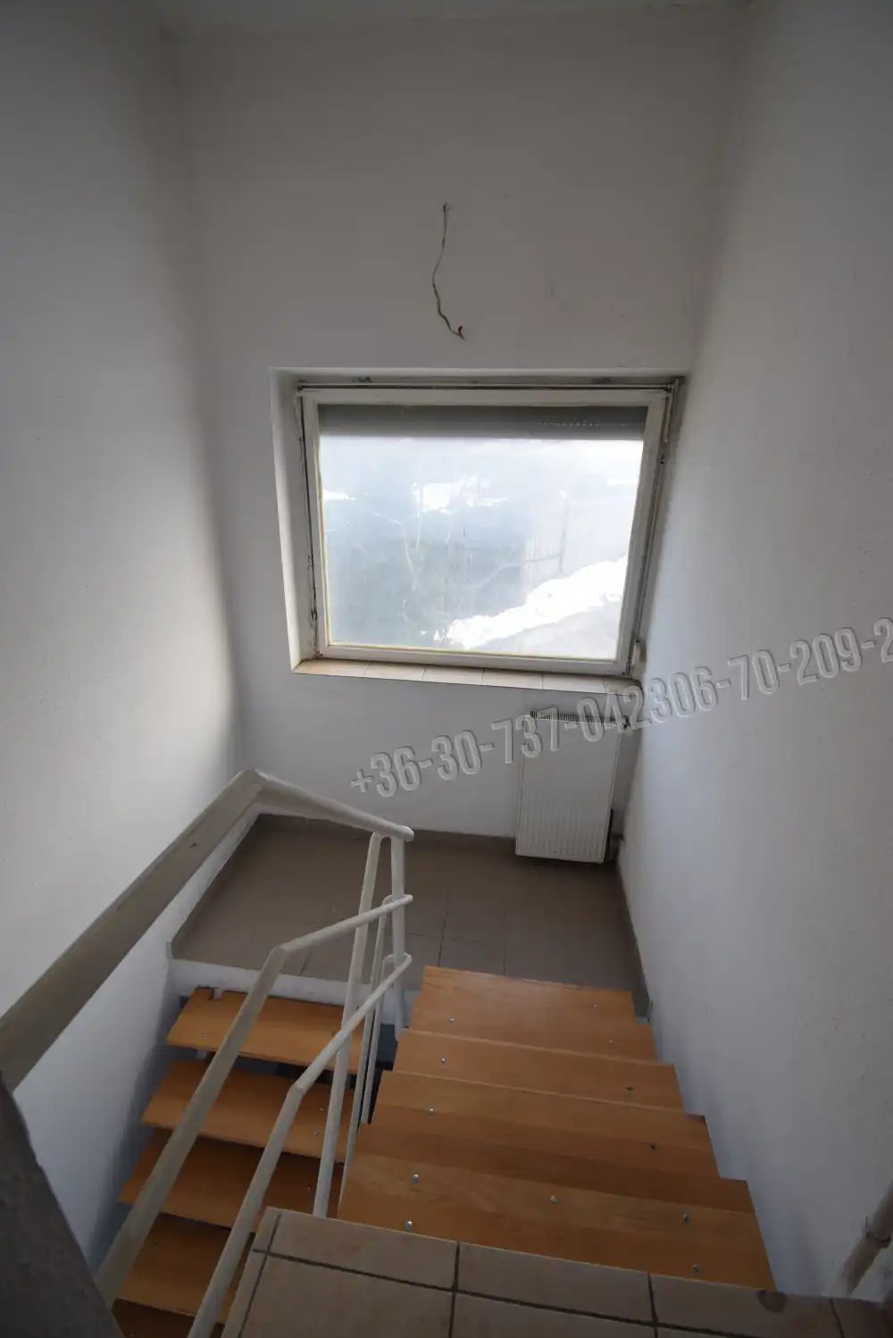 Budapest, XXI. kerület - Királyerdő