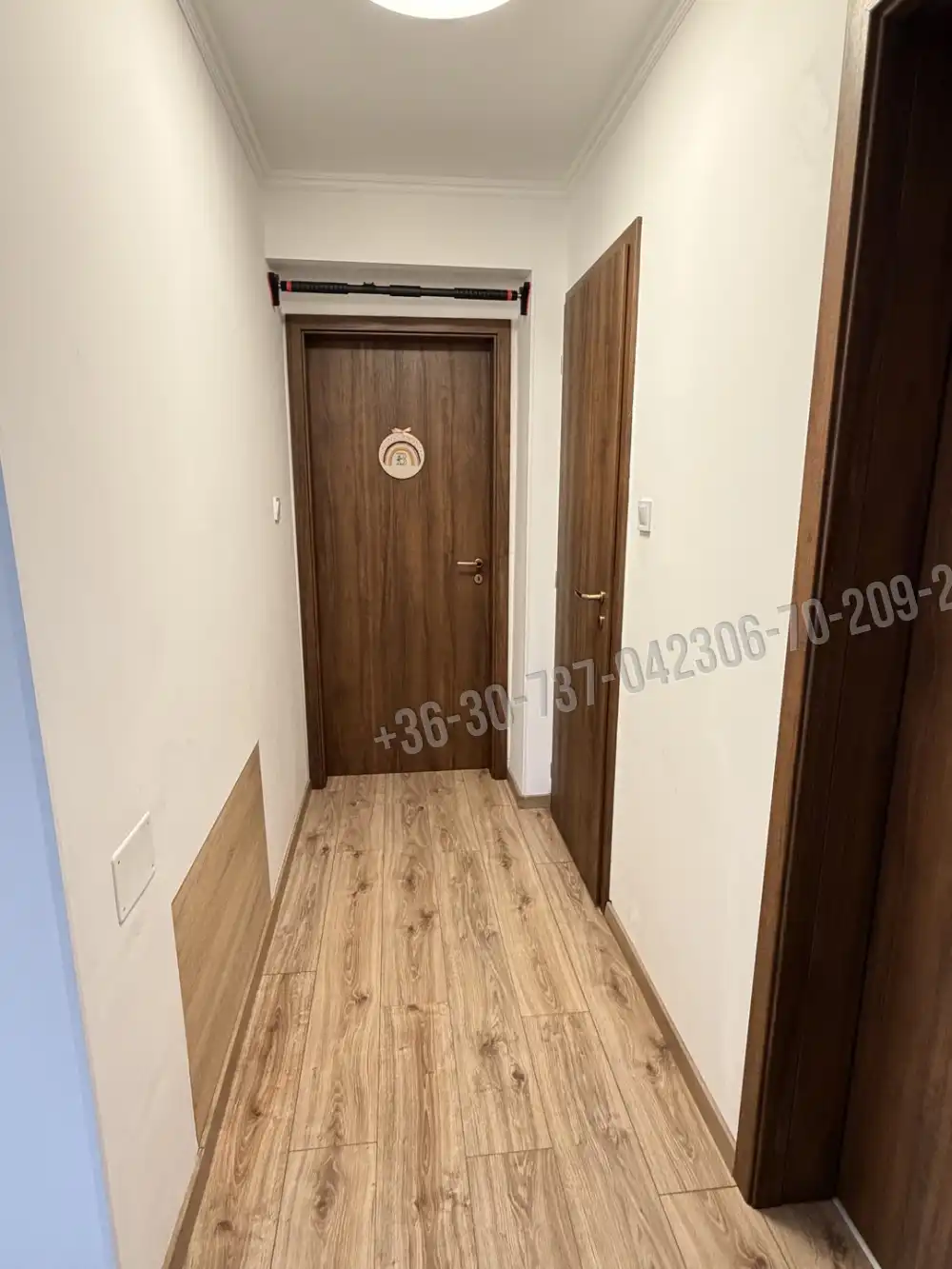 Budapest, XXI. kerület - Királyerdő