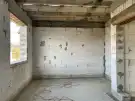 Pest megye - Dabas