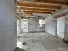 Pest megye - Dabas