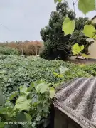 Fejér megye - Dunaújváros