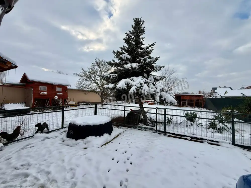 Csongrád megye - Mórahalom