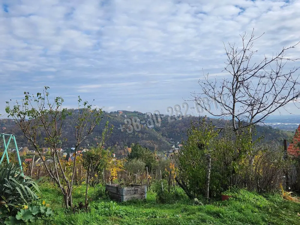 Baranya megye - Pécs
