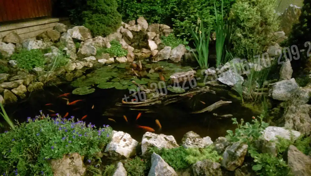 Pest megye - Szigetszentmiklós