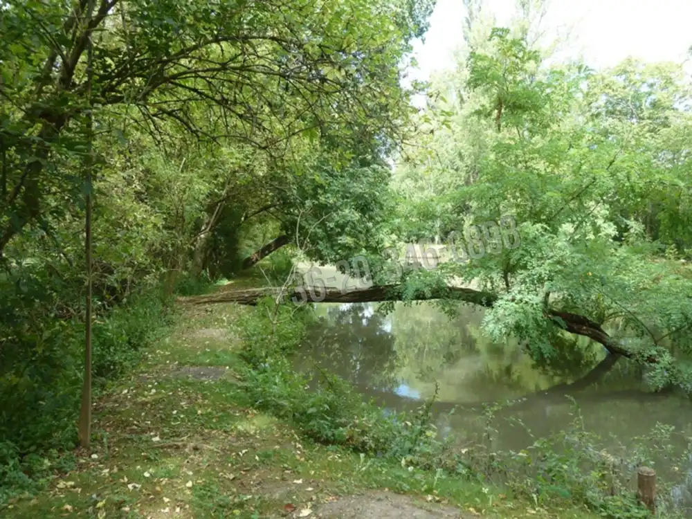 Veszprém megye - Vilonya