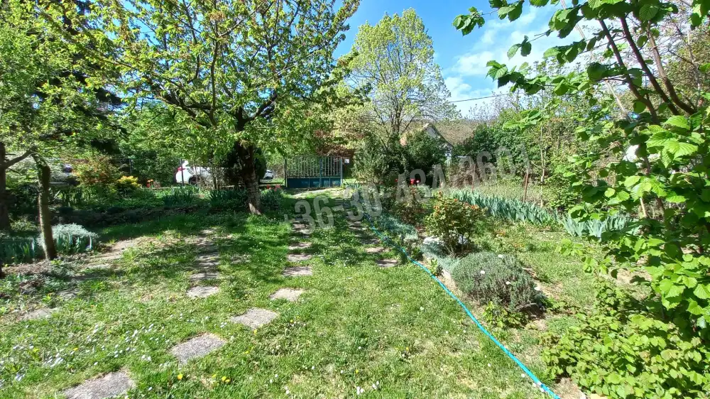 Fejér megye - Alcsútdoboz