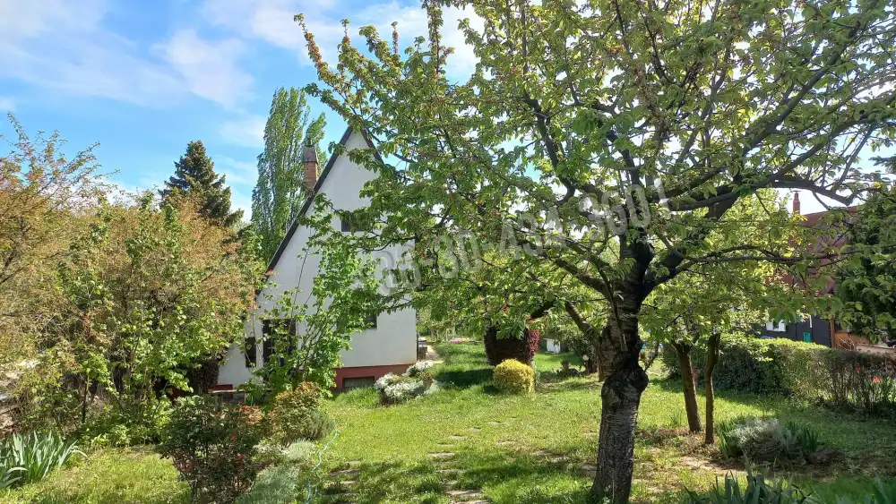 Fejér megye - Alcsútdoboz