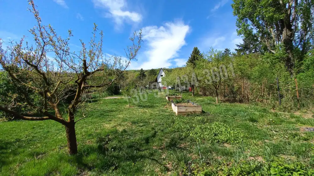 Fejér megye - Alcsútdoboz