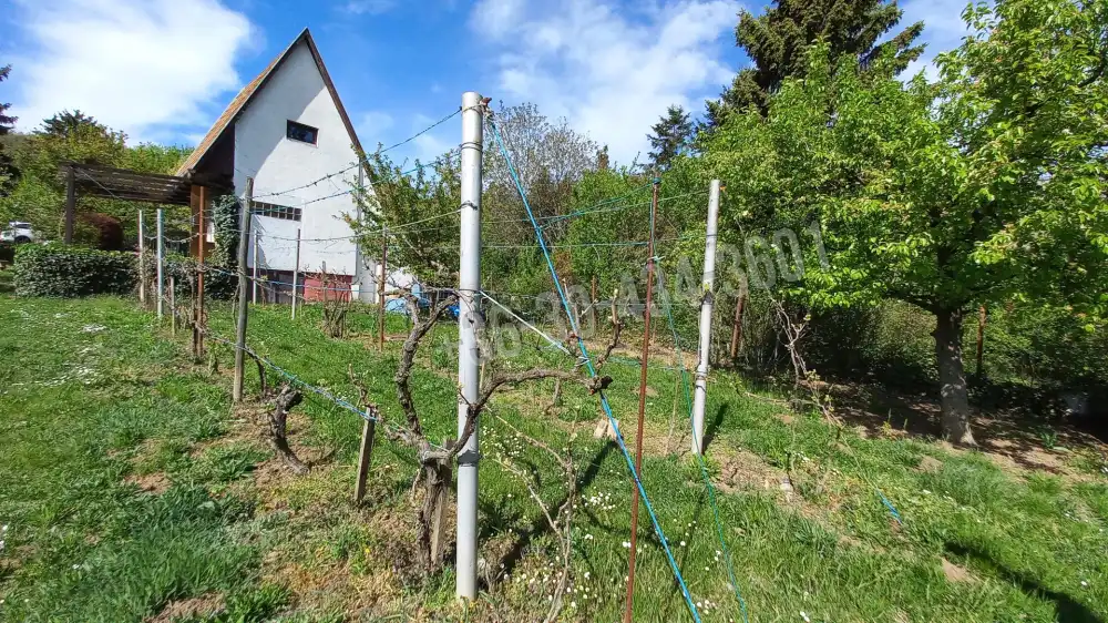 Fejér megye - Alcsútdoboz