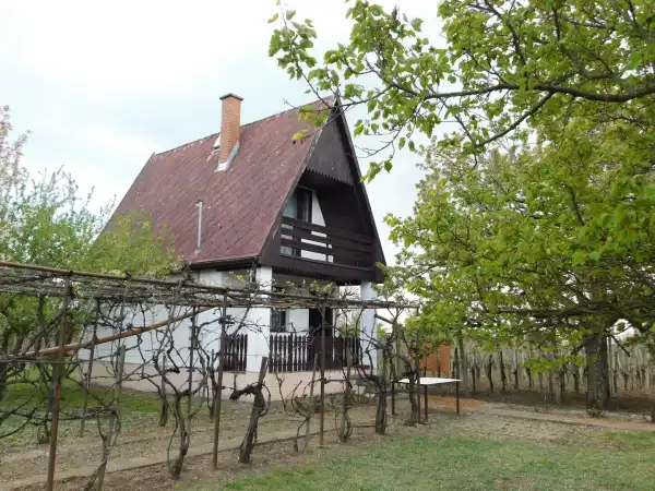 Eladó nyaraló, Andornaktálya 3 szoba 80 m² 13.9 M Ft