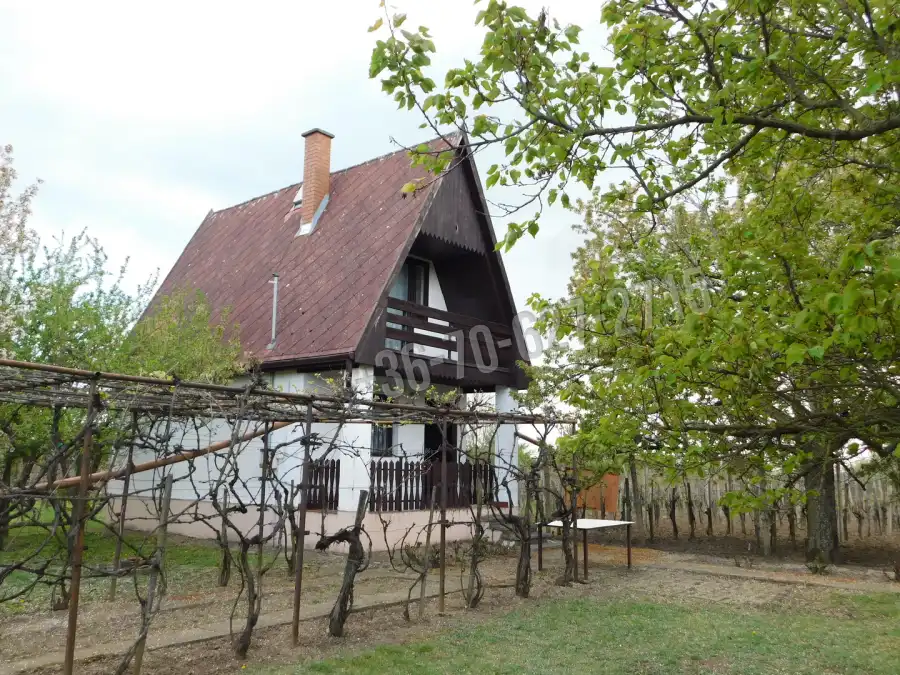 eladó nyaraló, Andornaktálya