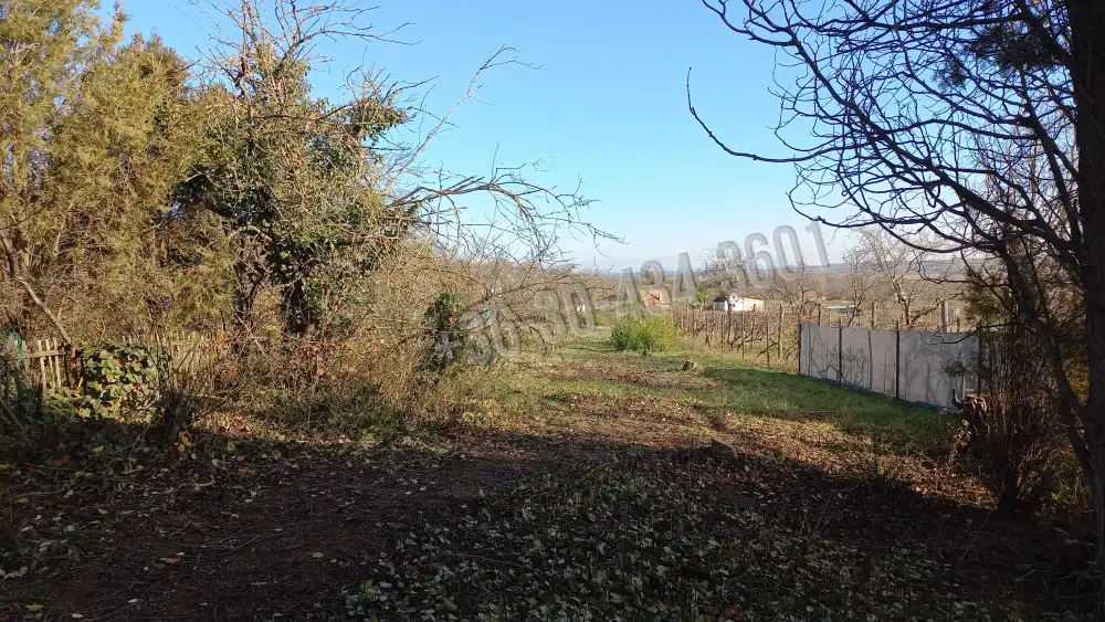 Fejér megye - Csákvár