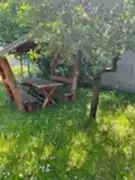 Fejér megye - Dunaújváros