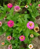 Fejér megye - Dunaújváros