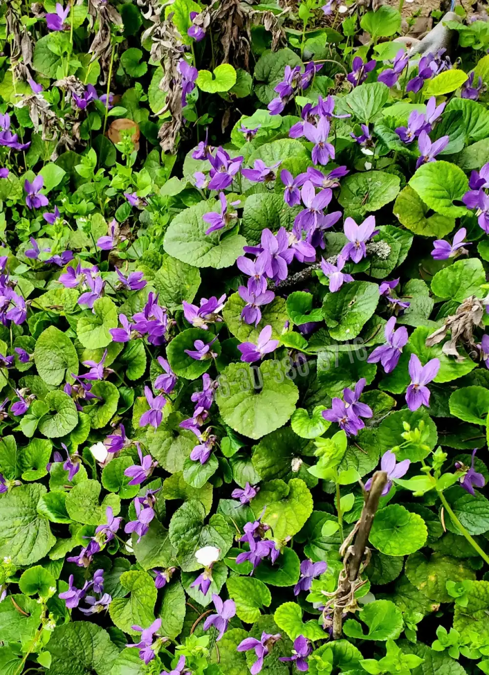 Fejér megye - Dunaújváros