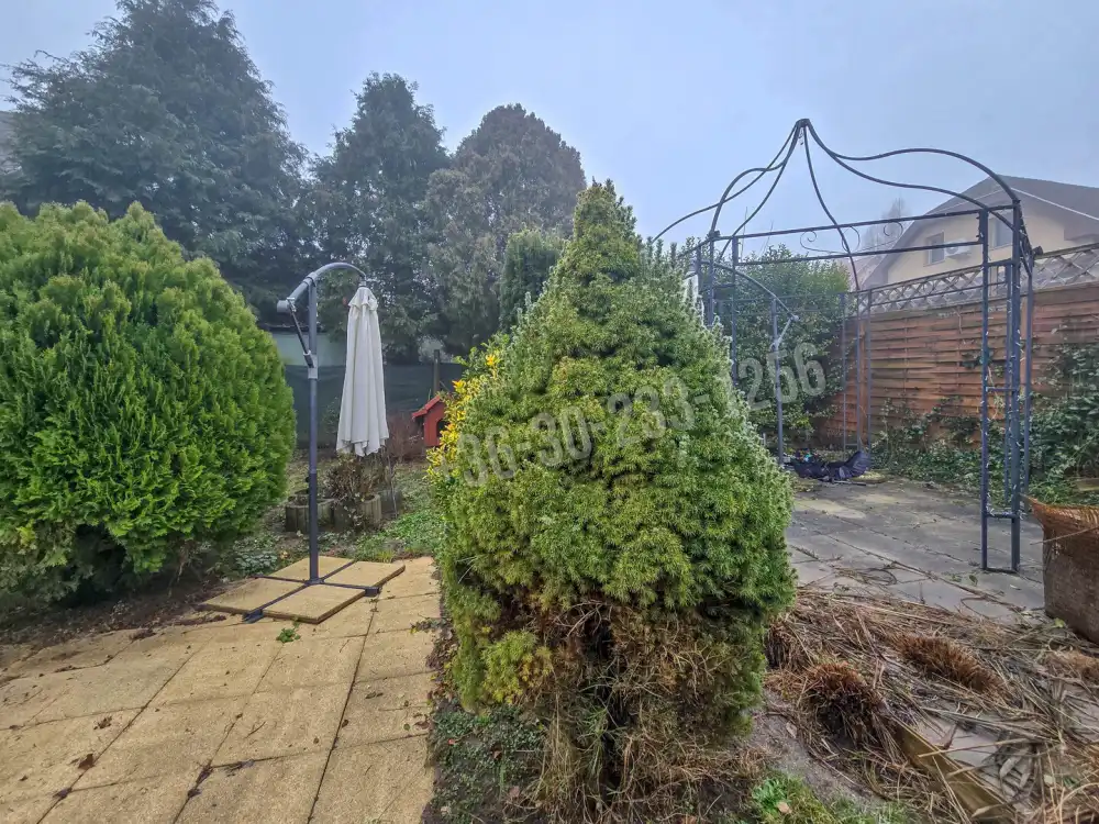 Győr-Moson-Sopron megye - Fertőhomok