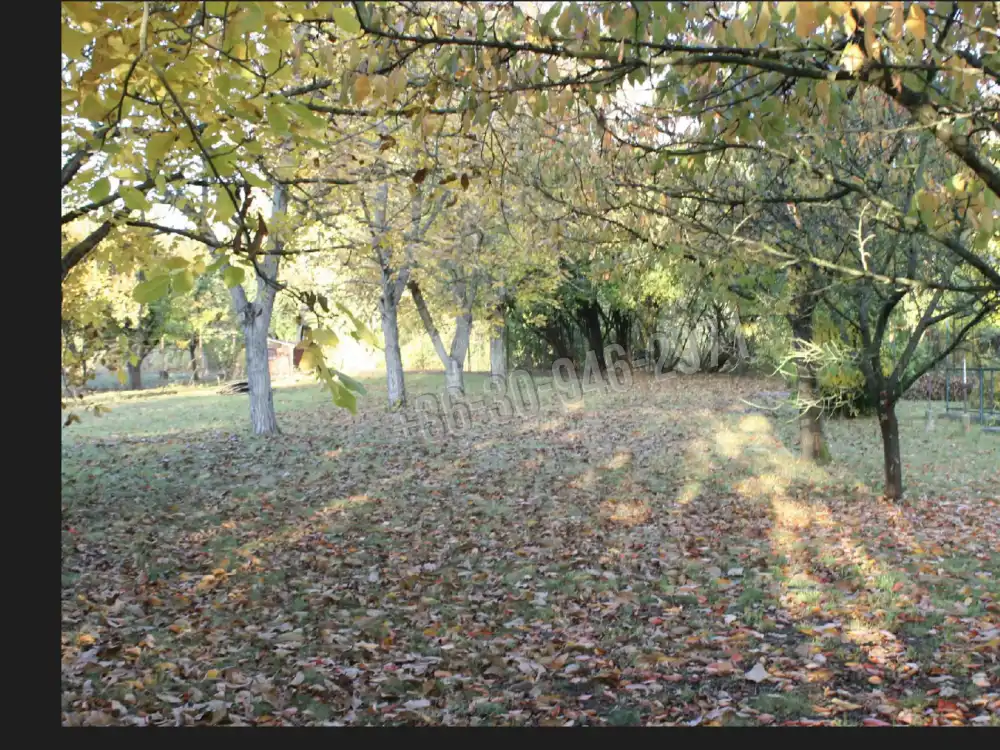 Békés megye - Gyomaendrőd