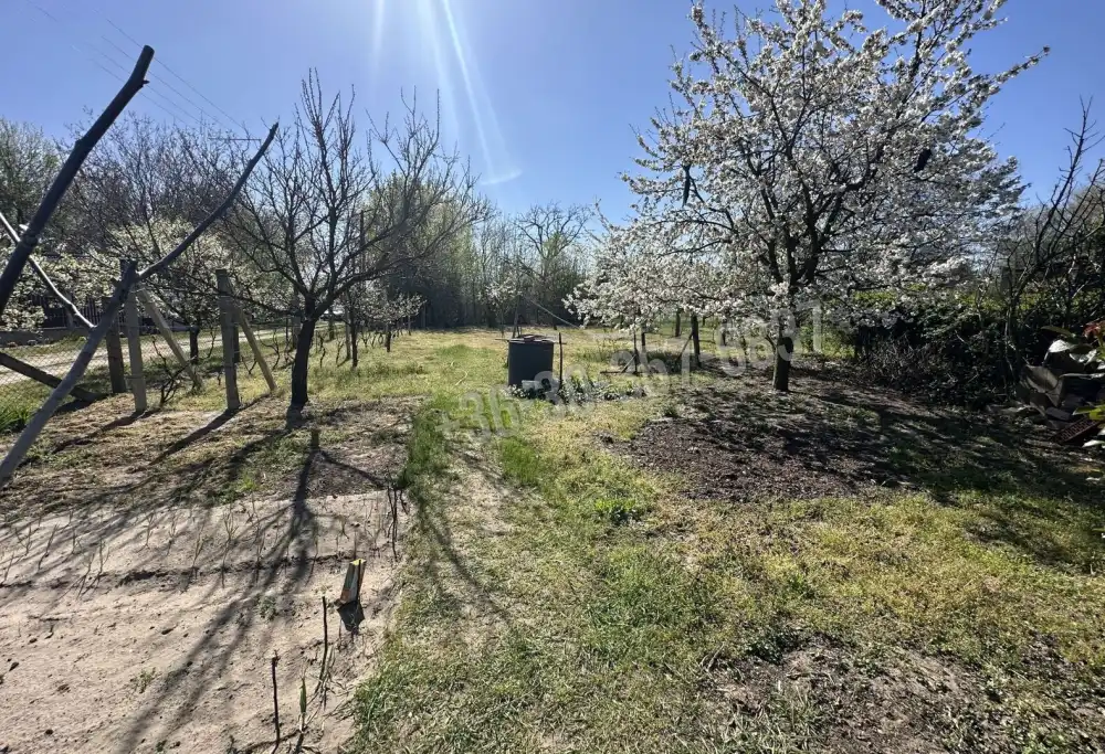 Csongrád megye - Kiskundorozsma