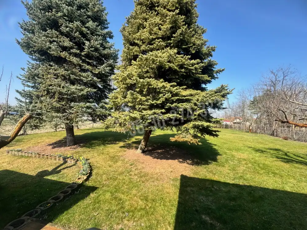 Bács-Kiskun megye - Kiskunfélegyháza