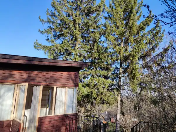 Eladó nyaraló, Leányfalu 2 szoba 32 m² 33 M Ft