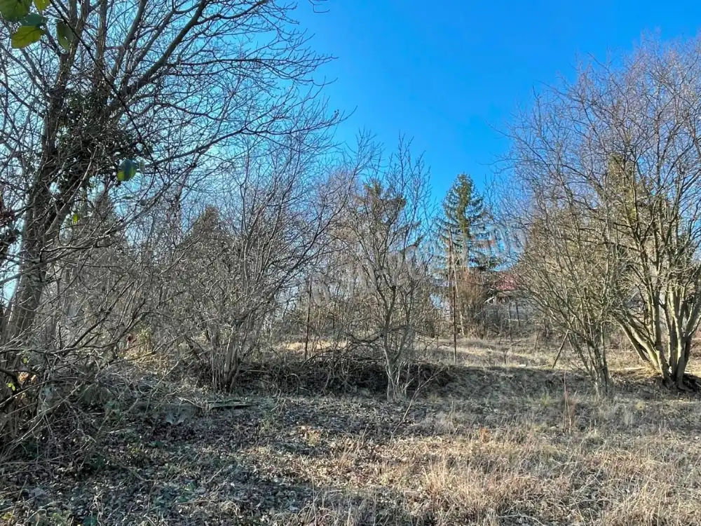 Pest megye - Leányfalu