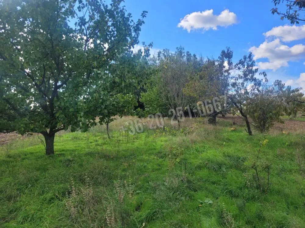 Baranya megye - Mohács