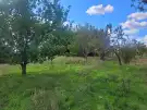 Baranya megye - Mohács