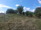 Baranya megye - Mohács