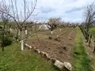 Baranya megye - Mohács