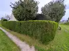 Baranya megye - Mohács