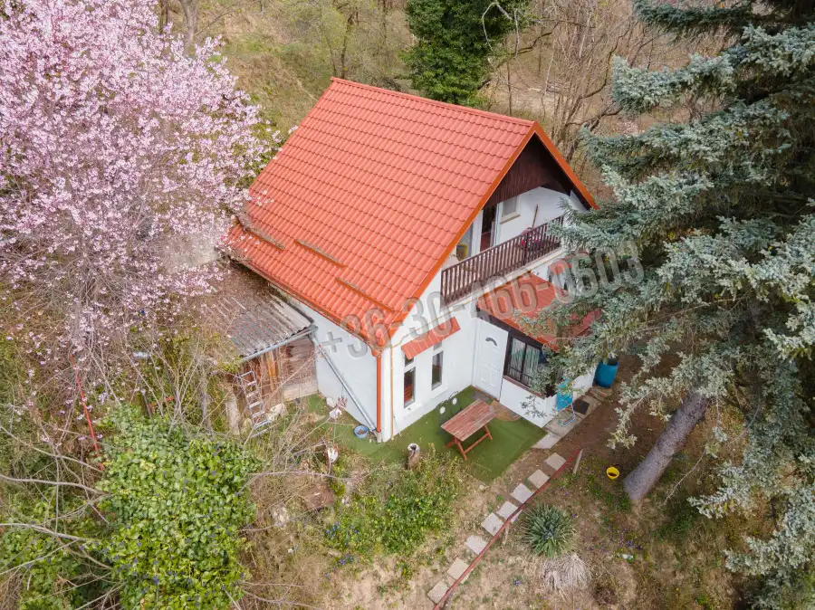 eladó nyaraló, Nagymaros