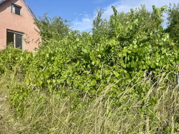 Eladó nyaraló, Oroszlány 1+1 szoba 20 m² 3.5 M Ft