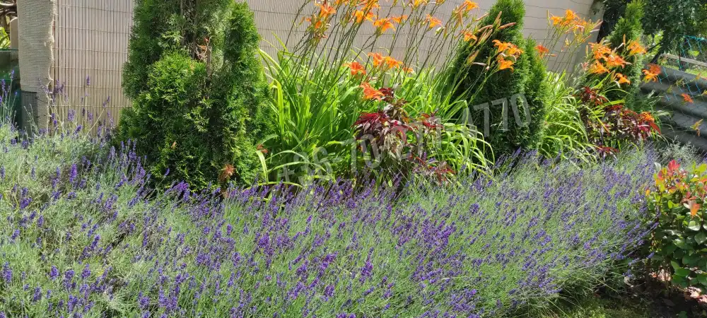 Komárom-Esztergom megye - Oroszlány