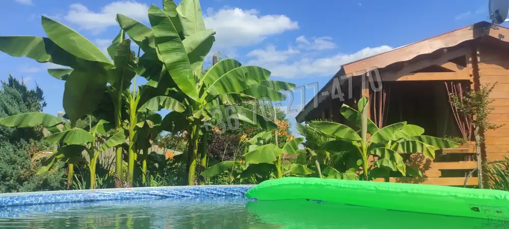 Komárom-Esztergom megye - Oroszlány