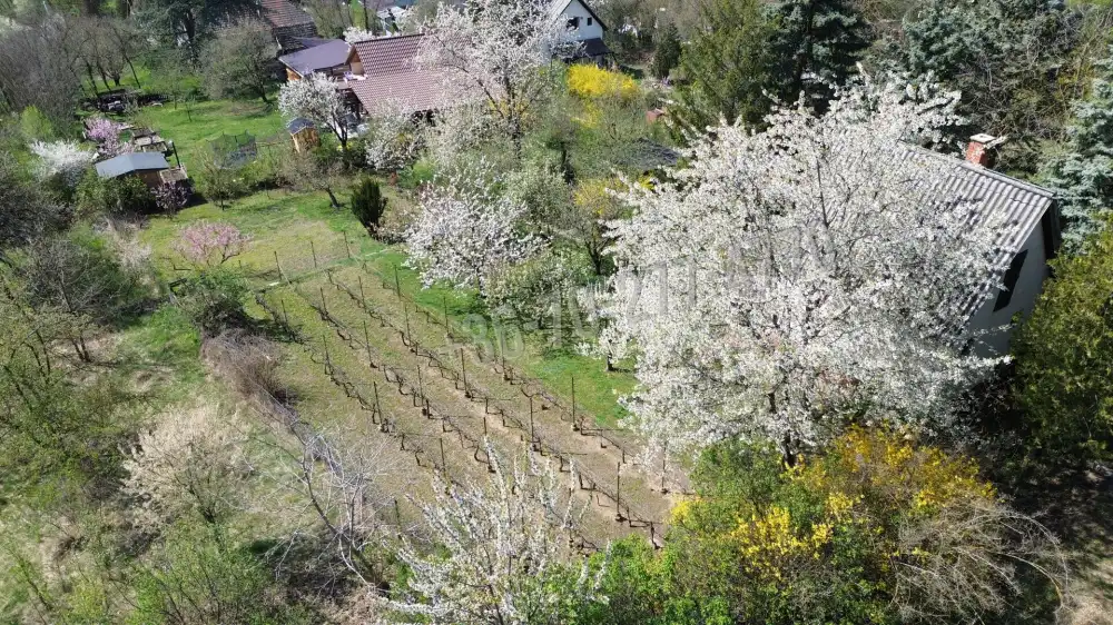 Komárom-Esztergom megye - Oroszlány