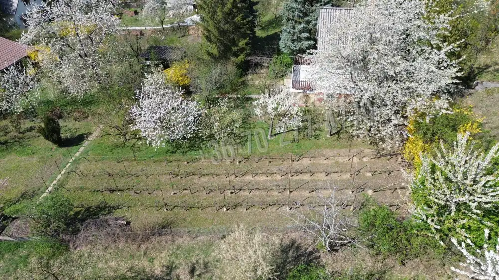 Komárom-Esztergom megye - Oroszlány