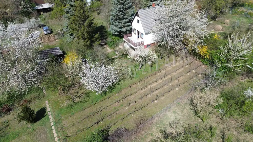 Komárom-Esztergom megye - Oroszlány